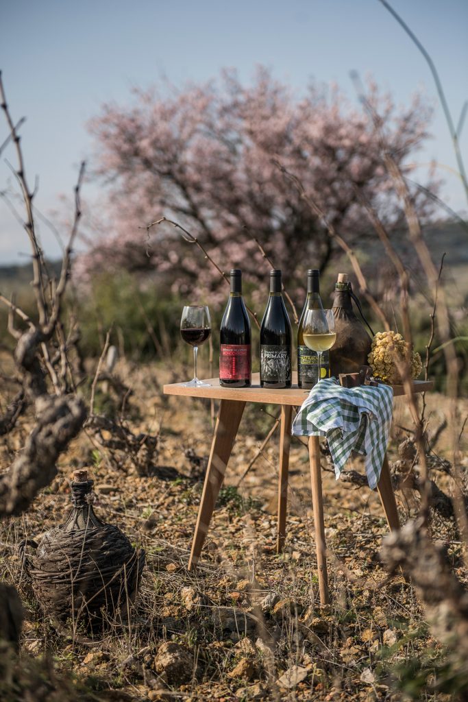 Vigneron amandiers vignes Roussillon Domaine Epeire Baixas printemps reportage photo